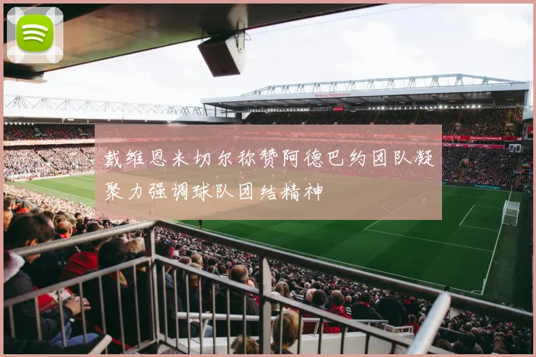 戴维恩米切尔称赞阿德巴约团队凝聚力强调球队团结精神