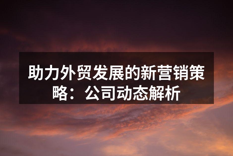 助力外贸发展的新营销策略：公司动态解析
