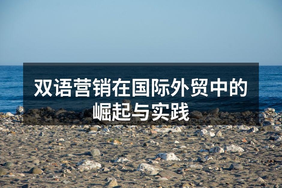 双语营销在国际外贸中的崛起与实践