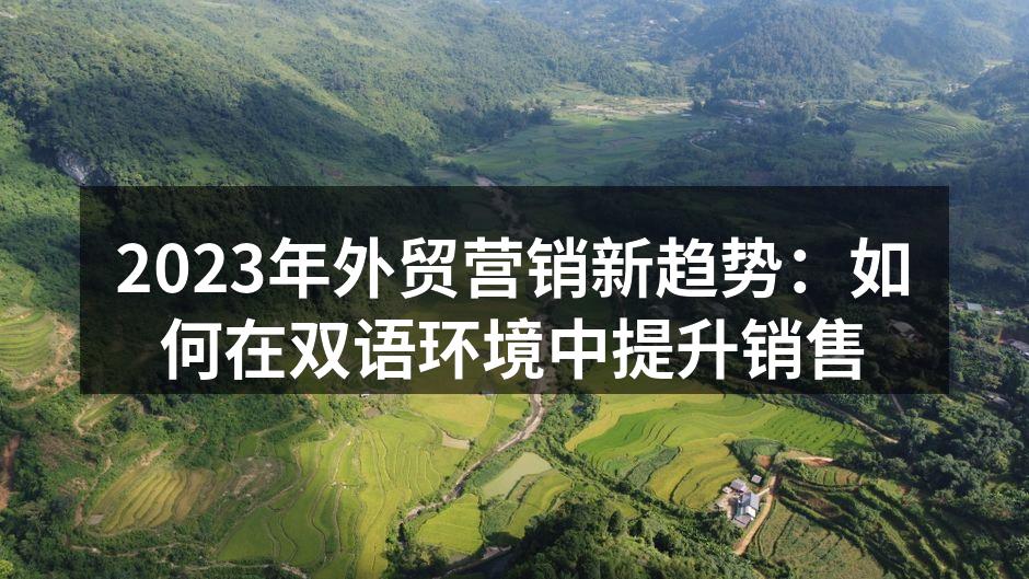 2023年外贸营销新趋势：如何在双语环境中提升销售
