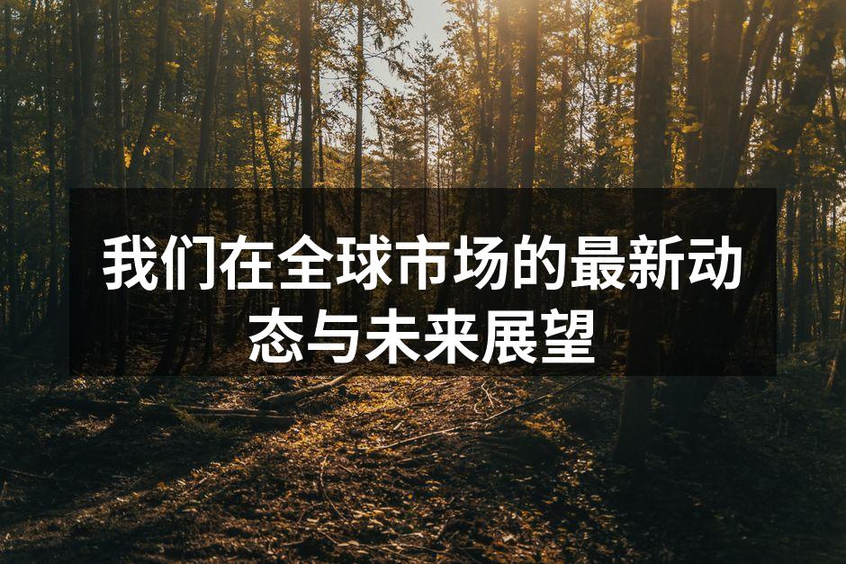 我们在全球市场的最新动态与未来展望