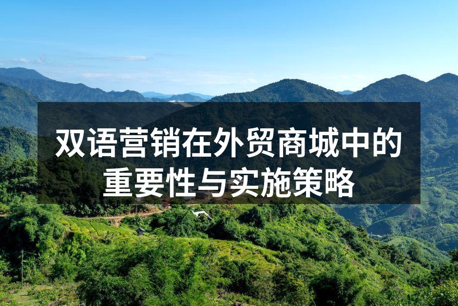 双语营销在外贸商城中的重要性与实施策略