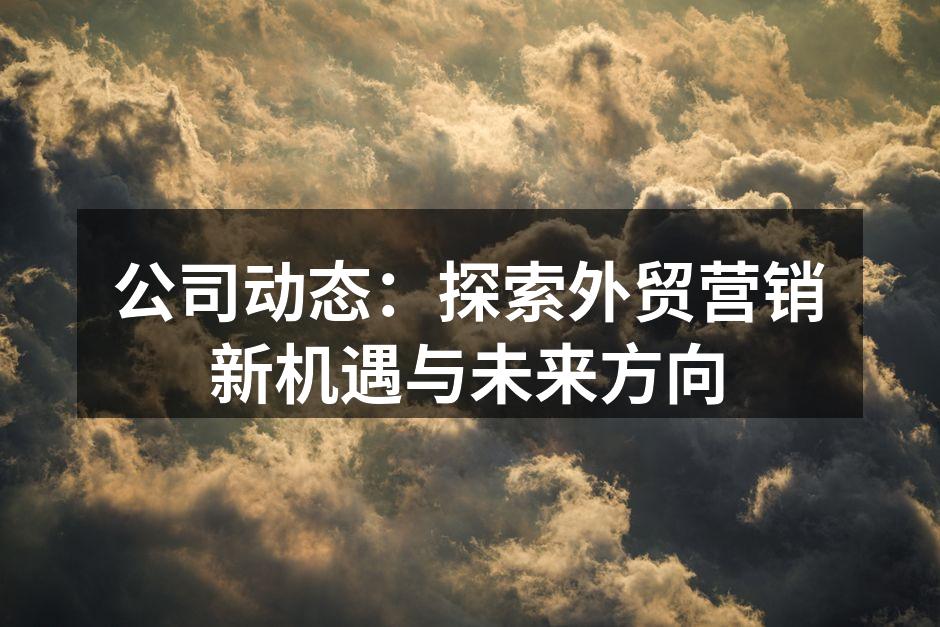公司动态：探索外贸营销新机遇与未来方向