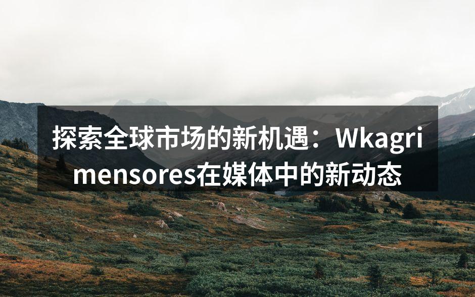 探索全球市场的新机遇：Wkagrimensores在媒体中的新动态