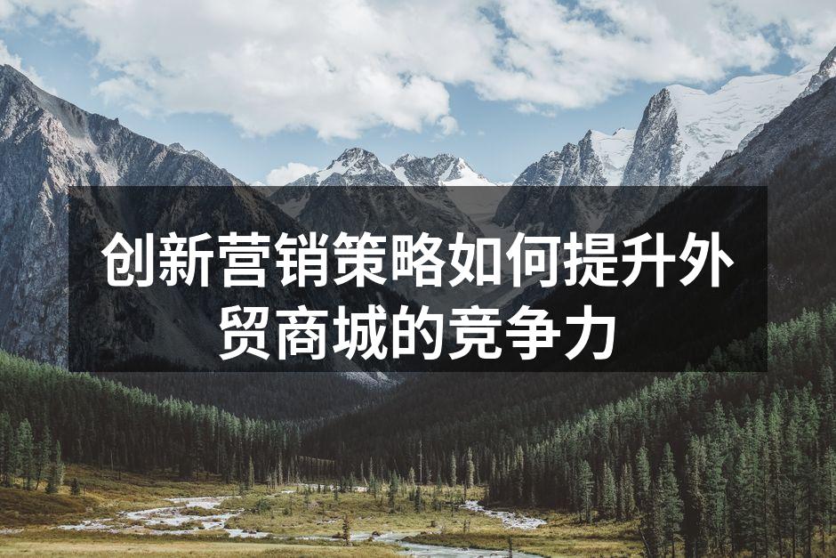 创新营销策略如何提升外贸商城的竞争力