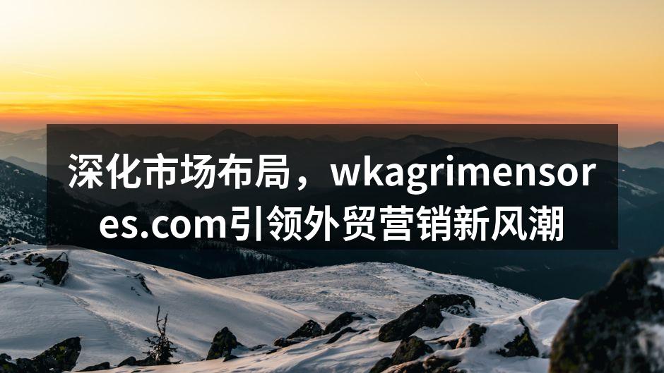 深化市场布局，wkagrimensores.com引领外贸营销新风潮