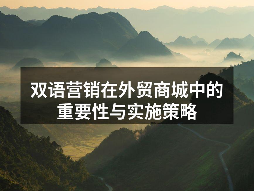 双语营销在外贸商城中的重要性与实施策略