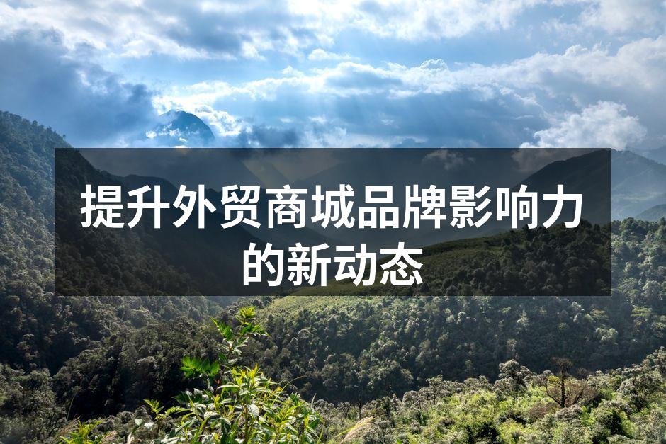 提升外贸商城品牌影响力的新动态