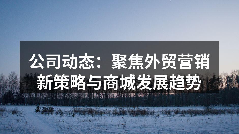 公司动态：聚焦外贸营销新策略与商城发展趋势