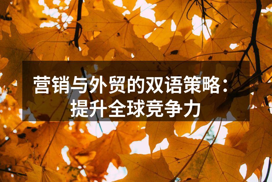 全球市场拓展的双语策略