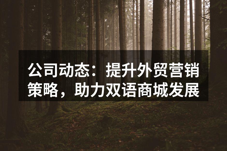 公司动态：提升外贸营销策略，助力双语商城发展