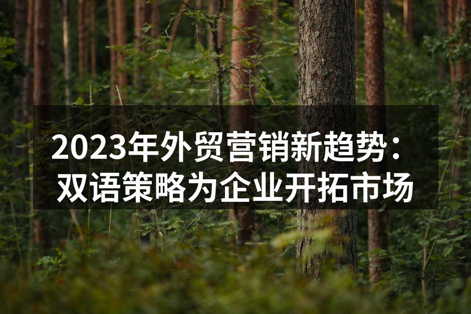 双语营销提升品牌影响力