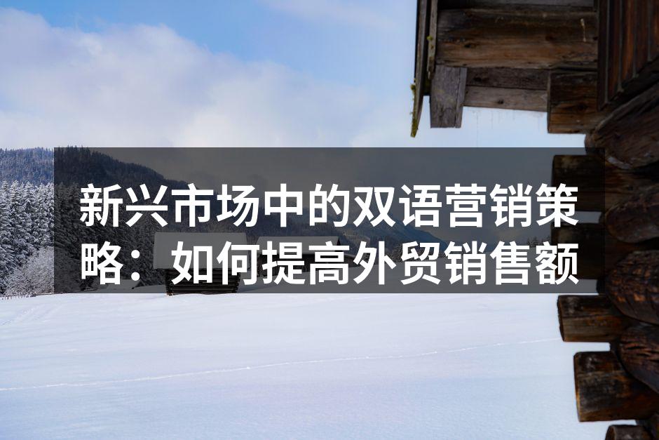 新兴市场中的双语营销策略：如何提高外贸销售额